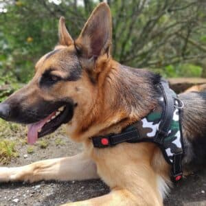 Arnes diseño militar gatos y perros - imagen 2