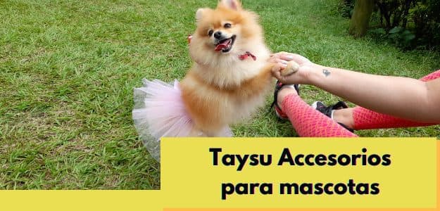 Banner de TAYSU Accesorios