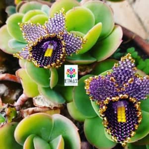 aretes de mostacilla pequeños