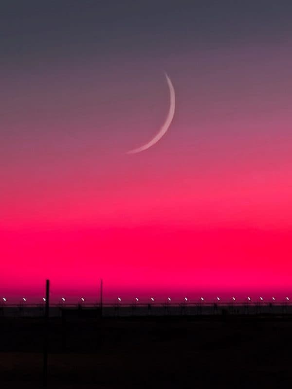 Arte y Objetos de colección